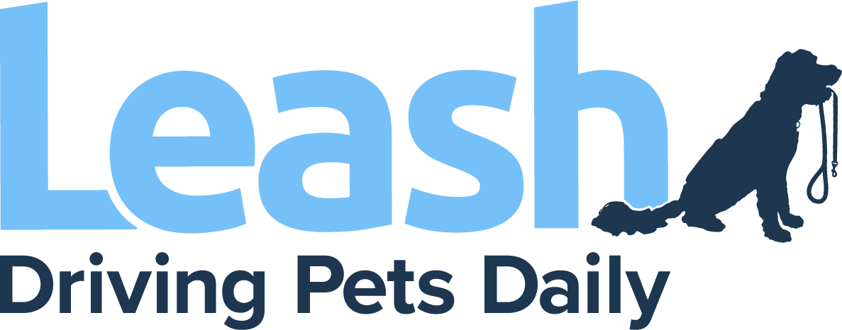 Leash - driving pets daily Leash - driving pets daily